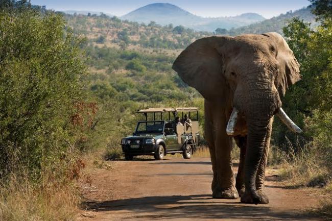 South Africa's Bakubung Bush Lodge on foot