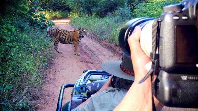 Pulkit Samrat goes on jungle safari