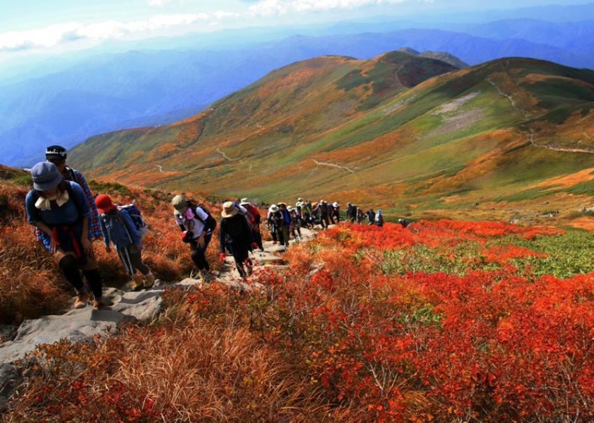 Fall in love with the very best of autumn in Japan Fall in love with the very best of autumn in Japan