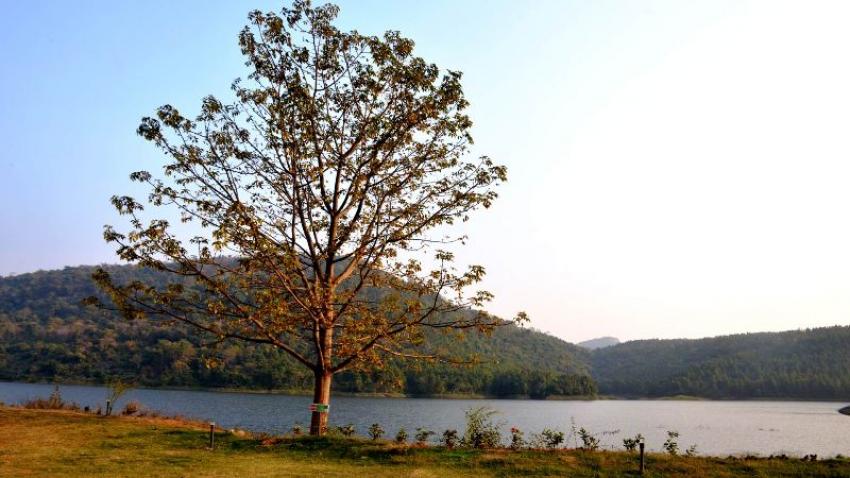 Khairabera Eco Adventure Resorts: Whispers of the Quaint Hills 