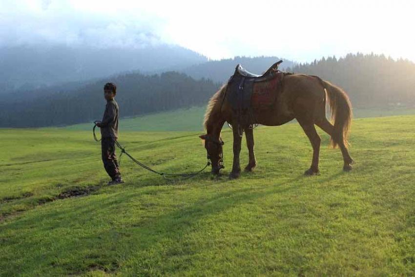 Kashmir: Paradise On Earth Beckons Again Kashmir: Paradise On Earth Beckons Again
