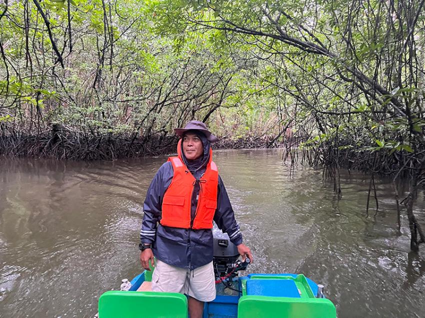 One of the most exciting experiences here is the Mangrove Discovery Tour across the mangrove jungle
