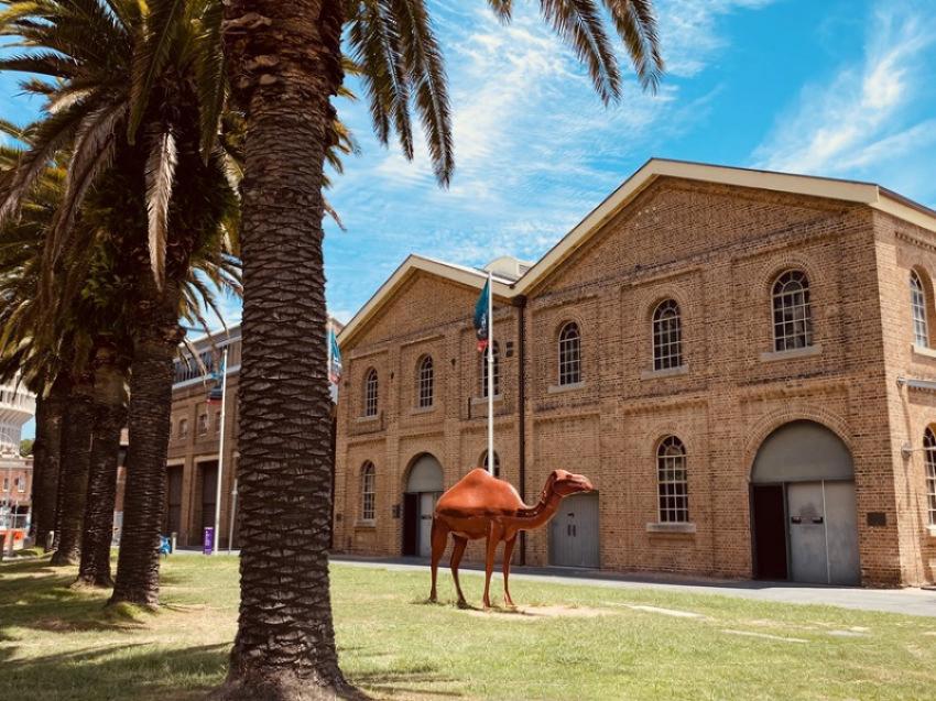 Newcastle Museum