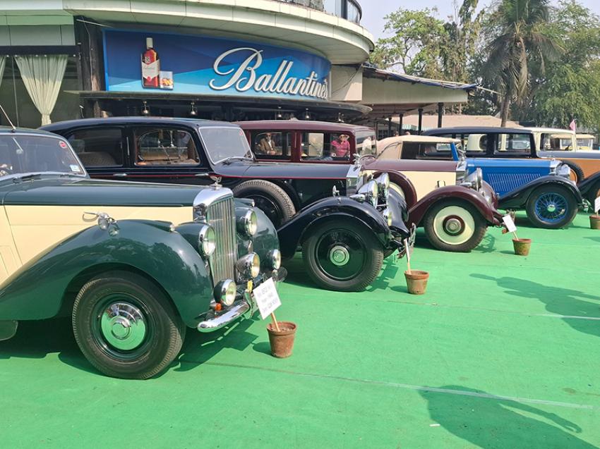 Rolls Royces lined up in the show. Photo: Lake Club. 