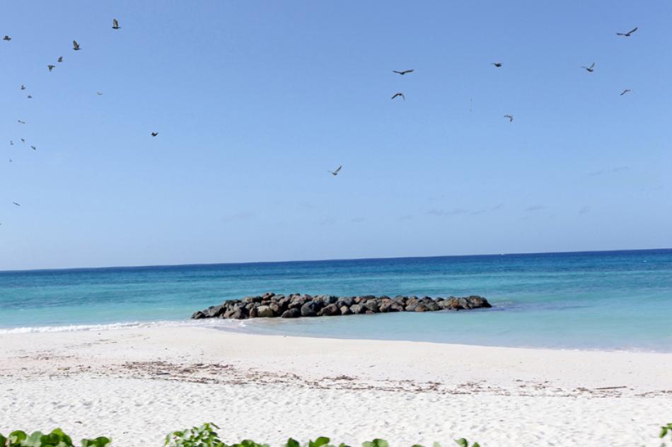 Covid-19 hits Barbados tourism