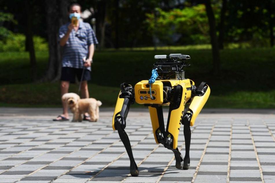 Images of the Day : Robot dog SPOT 