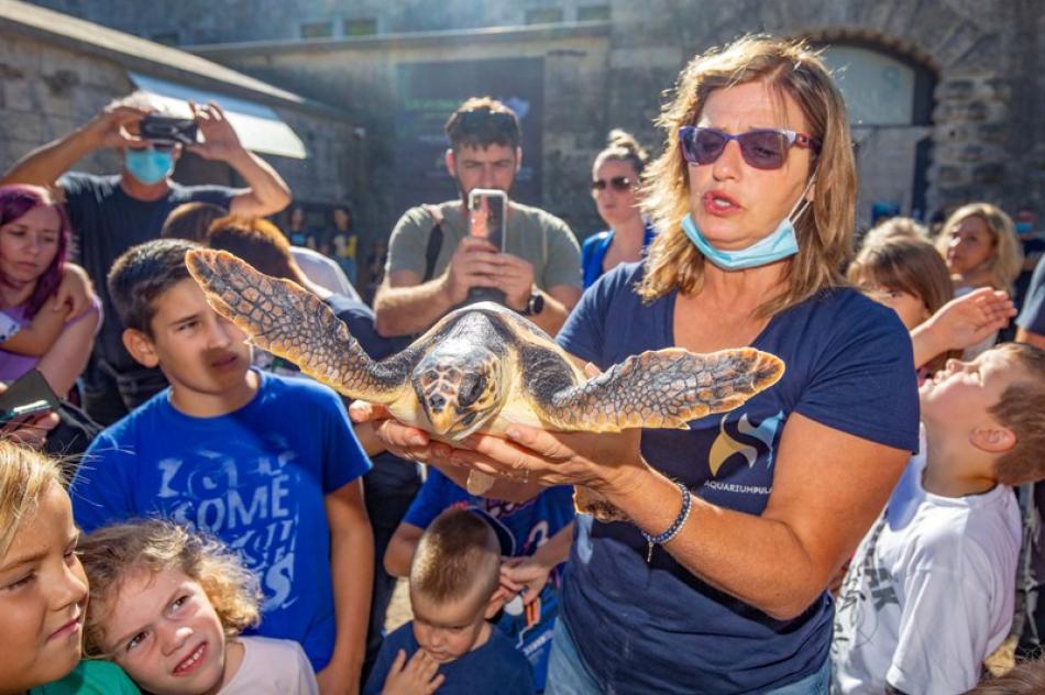 Images of the Day : Aquarium Pula shows