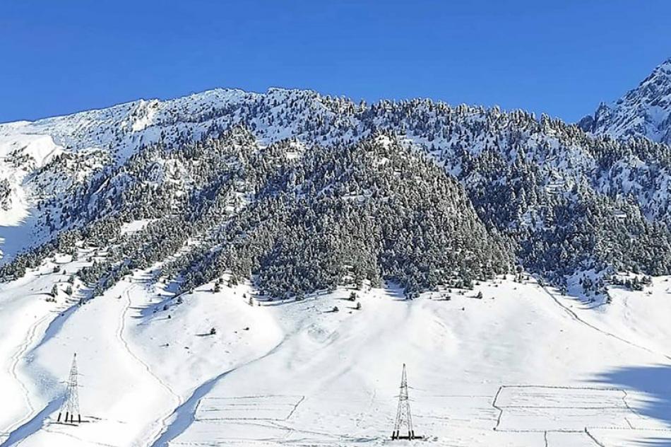 Images of the Day : Snowfall in Srinagar