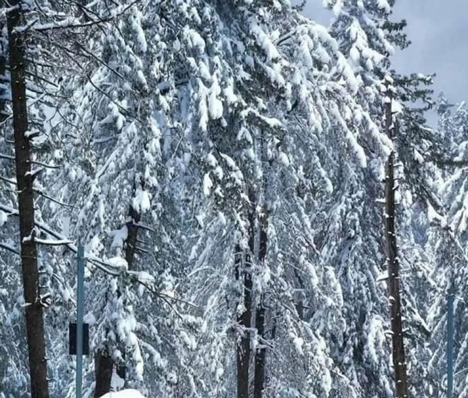 Images of the Day FEB 3 : Snowfall in Kashmir 