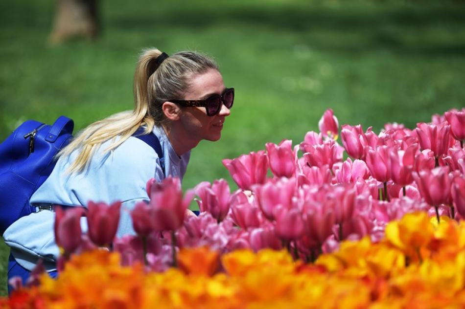 Tulip Festival in Turkey