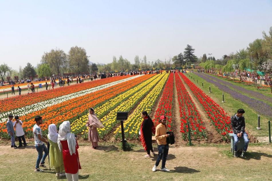Visitors take selfies at Asia' largest tulip garden in Srinagar