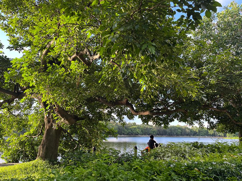 Kolkata’s Rabindra Sarobar Lake is a green o ...