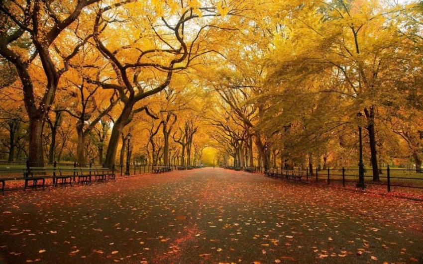 New York: Parks parks parks - from Hudson to East River New York: Parks parks parks - from Hudson to East River