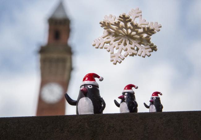 University of Birmingham academics creates festive family of penguins with 3D laser printers University of Birmingham academics creates festive family of penguins with 3D laser printers