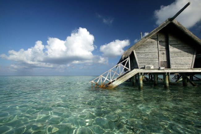 Think Strawberries signs on Maldives promotion Think Strawberries signs on Maldives promotion