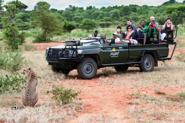 Think Strawberries signs on Corundum Tours for Africa promotion