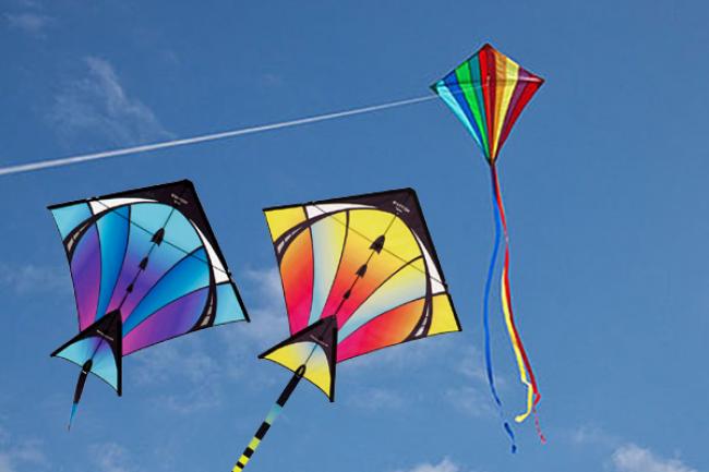 Gujarat hosts International Kite Festival Gujarat hosts International Kite Festival
