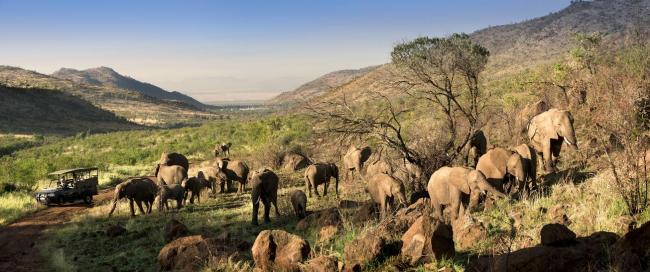 Pilanesberg National Park: Place to be for wildlife enthusiasts