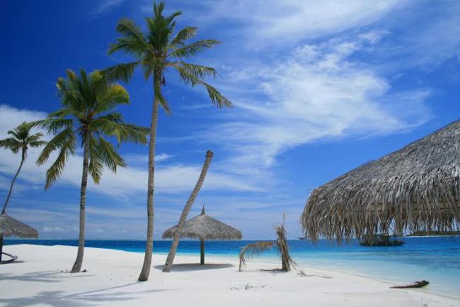Maldives to present singing competition 'Maldives Idol' Maldives to present singing competition 'Maldives Idol'
