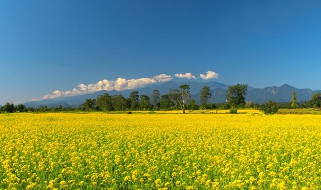 Arunachal Pradesh Tourism signs MoU with Viacom 18 Arunachal Pradesh Tourism signs MoU with Viacom 18