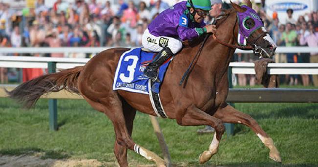 An American in Ascot: California Chrome will race in the Prince of Wales’s Stakes An American in Ascot: California Chrome will race in the Prince of Wales’s Stakes
