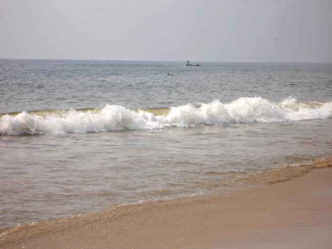 Goa Guv meets Union Minister over tourism promotion in India Goa Guv meets Union Minister over tourism promotion in India