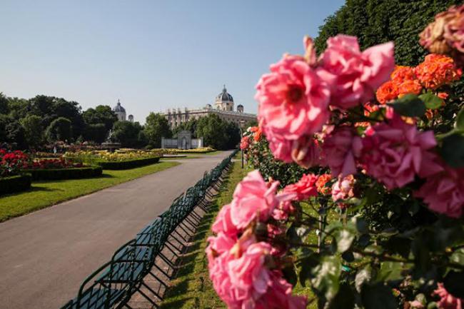 Vienna bewitches droves of Indian tourists