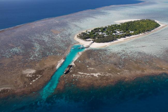 Great Barrier Reef: Australia may see a decline in number of tourists if bleaching continues 