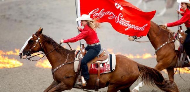 Calgary Stampede faces adverse economic run