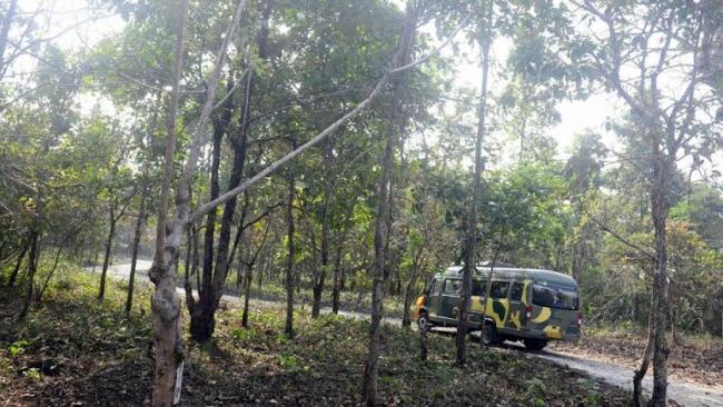 Mamata Banerjee inaugurates wildlife safari park in North Bengal