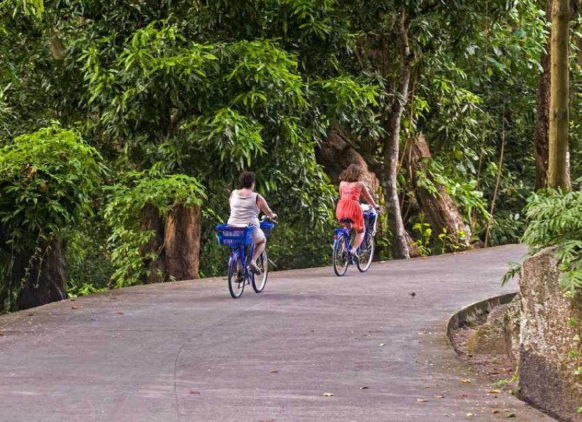 Experience some of the world’s rarest species of flora and fauna in Seychelles Experience some of the world’s rarest species of flora and fauna in Seychelles