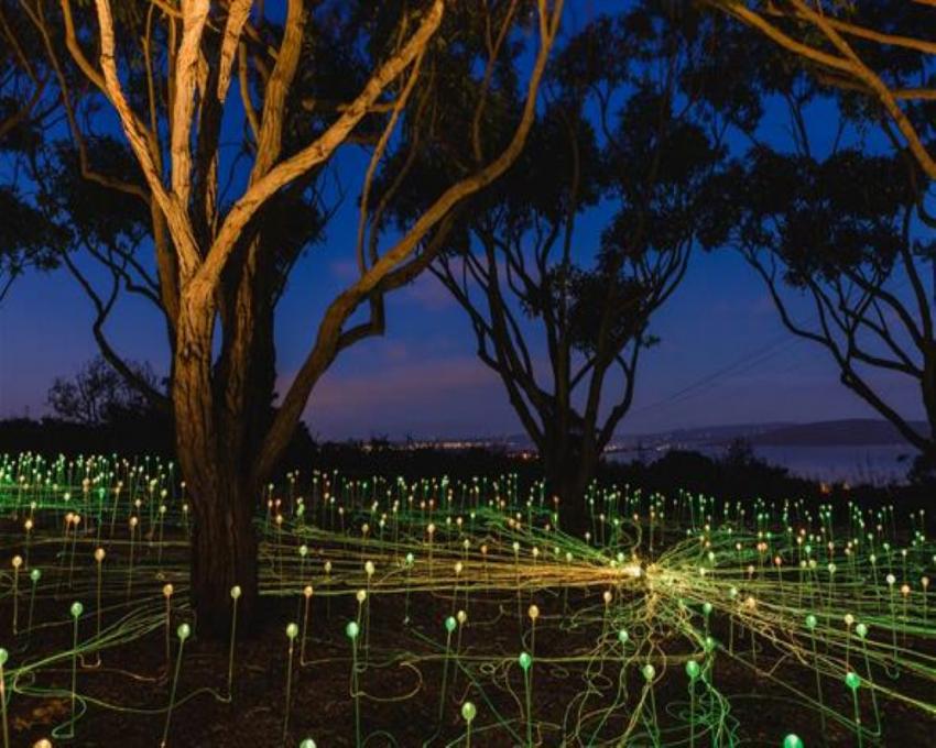 UK artist Bruce Munro's art installation attracts 29,453 people in western Australia