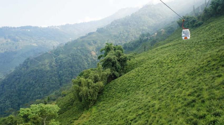 Chill out at these five tea estates in West Bengal this summer Chill out at these five tea estates in West Bengal this summer