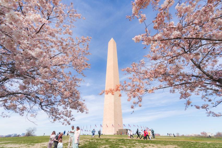 Washington D.C. announces plans for year-long celebration of historic milestone in 2026 Washington D.C. announces plans for year-long celebration of historic milestone in 2026