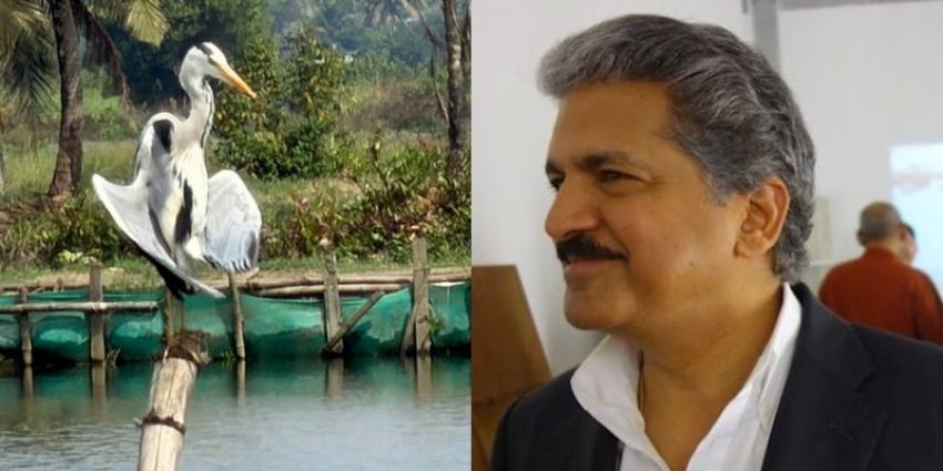 Guess which tranquil, beautiful Kerala village Anand Mahindra stopped by!