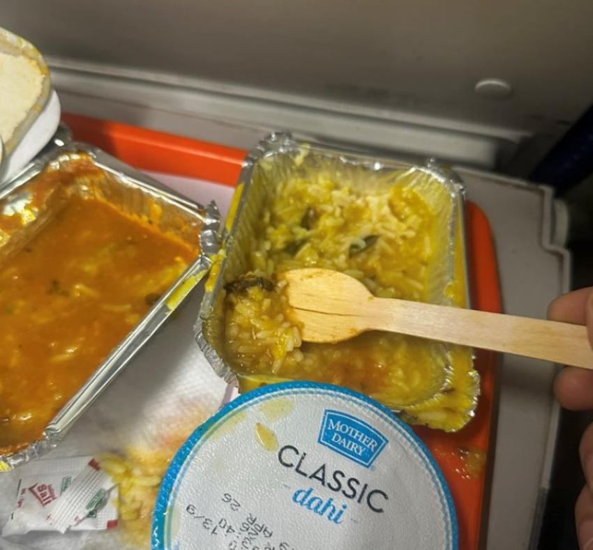 Vande Bharat food horror: Insect found in meal, passenger's X post goes viral 