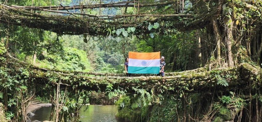 India nominates Meghalaya's Living Root Bridges for UNESCO World Heritage status