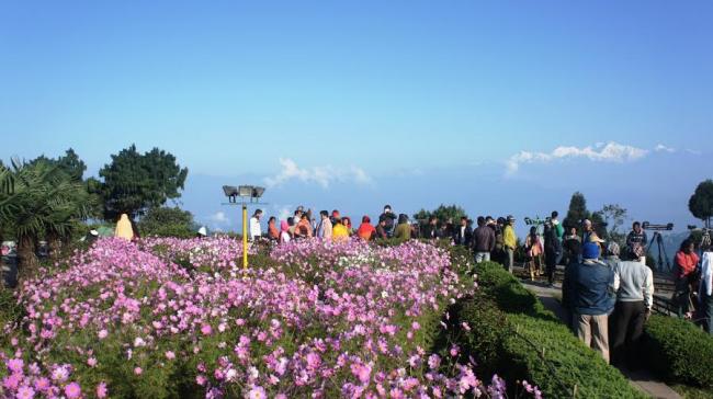 Darjeeling: Eat, pray and love the mountains