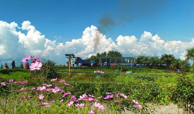 Darjeeling: Eat, pray and love the mountains