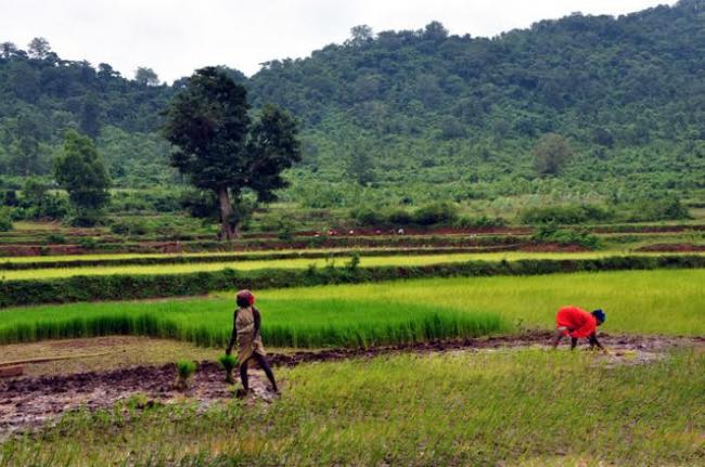  A unique tribal culture awaits you in Koraput Val ...