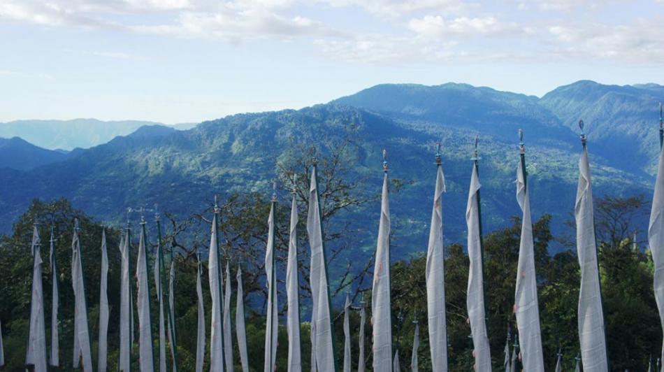 Sights and Sounds of Pelling