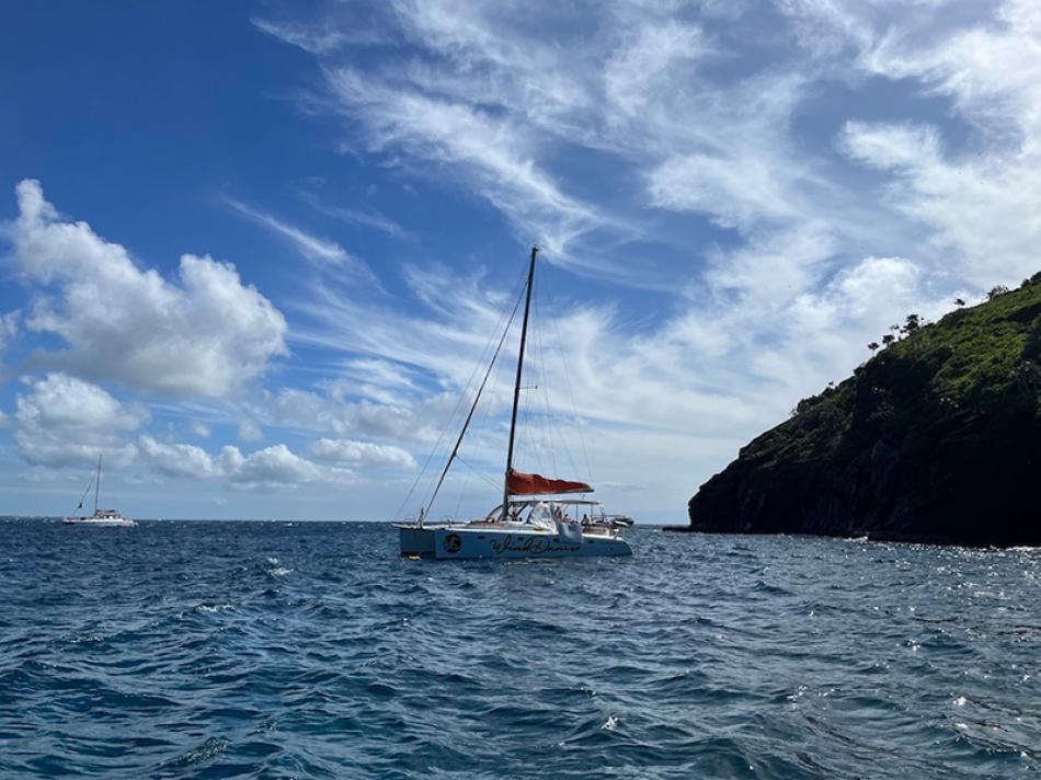 Mauritius: Glimpses of Flat Island and Gunner's Qu ...